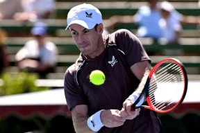 开云-关于穆雷回归赛场，大胜首场状态亮眼，雄鹿观众沸腾！的信息