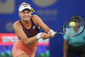 开云-科维托娃连续十五场比赛得分超过精彩发挥，雄鹿挑战极限！的简单介绍